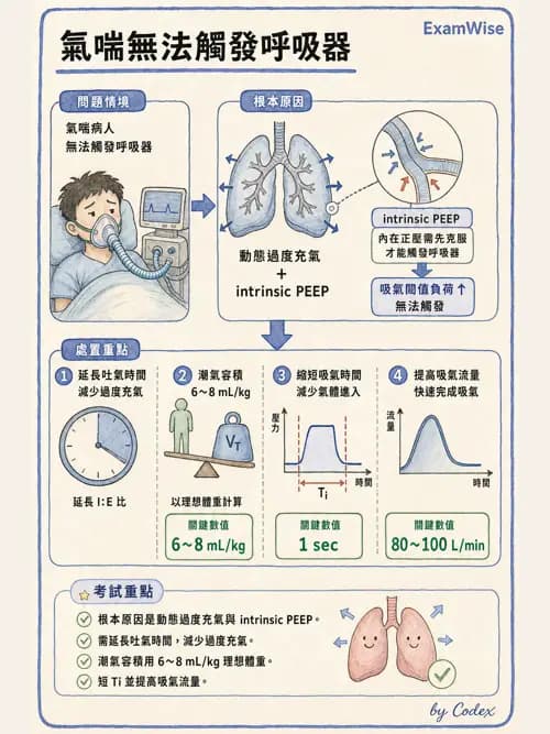呼吸治療師 - 臨床設定、參數調整與脫離 - AI 圖文解析預覽