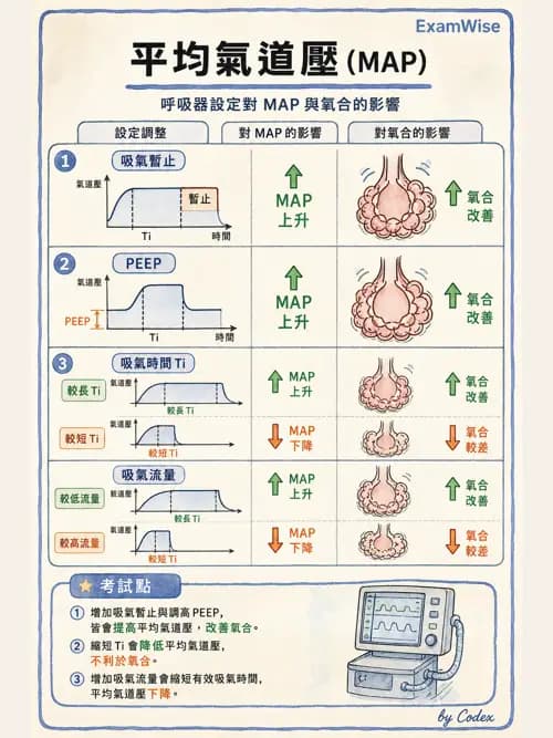 呼吸治療師 - 臨床設定、參數調整與脫離 - AI 圖文解析預覽