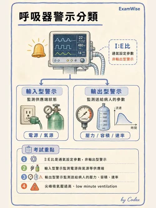 呼吸治療師 - 呼吸器圖形判讀與故障排除 - AI 圖文解析預覽