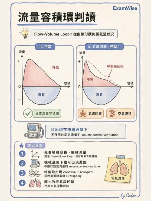 呼吸治療師 - 呼吸器圖形判讀與故障排除 - AI 圖文解析預覽