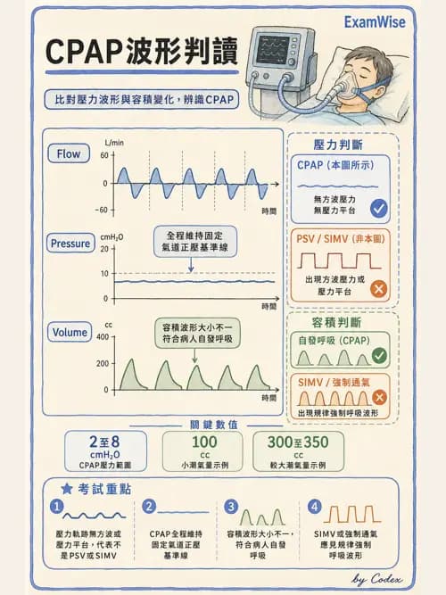 呼吸治療師 - 呼吸器圖形判讀與故障排除 - AI 圖文解析預覽