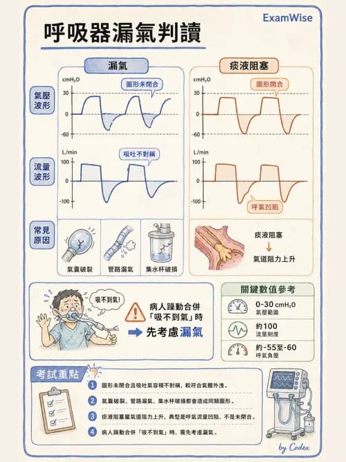 呼吸治療師 - 呼吸器圖形判讀與故障排除 - AI 圖文解析預覽