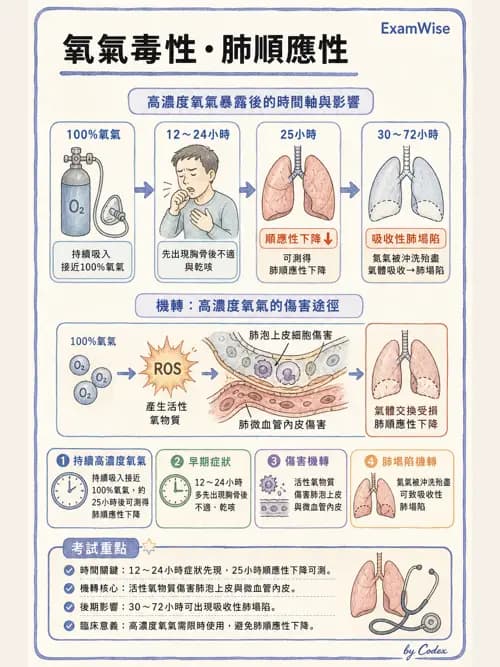 呼吸治療師 - 正壓通氣生理影響與合併症 - AI 圖文解析預覽
