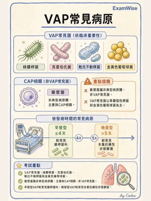 呼吸治療師 - 正壓通氣生理影響與合併症 - AI 圖文解析預覽
