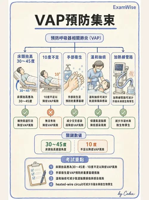 呼吸治療師 - 正壓通氣生理影響與合併症 - AI 圖文解析預覽
