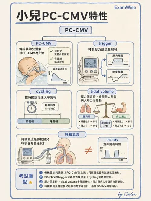 呼吸治療師 - 小兒呼吸器支持 - AI 圖文解析預覽