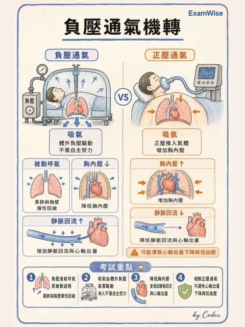 呼吸治療師 - 非侵襲性與居家通氣 - AI 圖文解析預覽