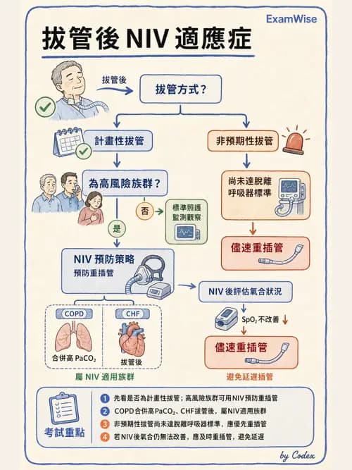 呼吸治療師 - 非侵襲性與居家通氣 - AI 圖文解析預覽
