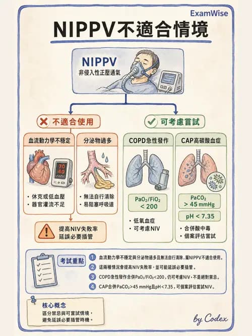 呼吸治療師 - 非侵襲性與居家通氣 - AI 圖文解析預覽