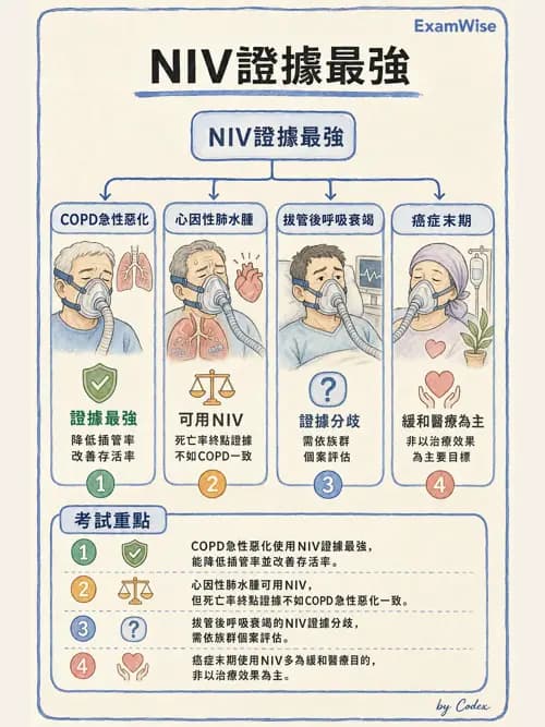 呼吸治療師 - 非侵襲性與居家通氣 - AI 圖文解析預覽