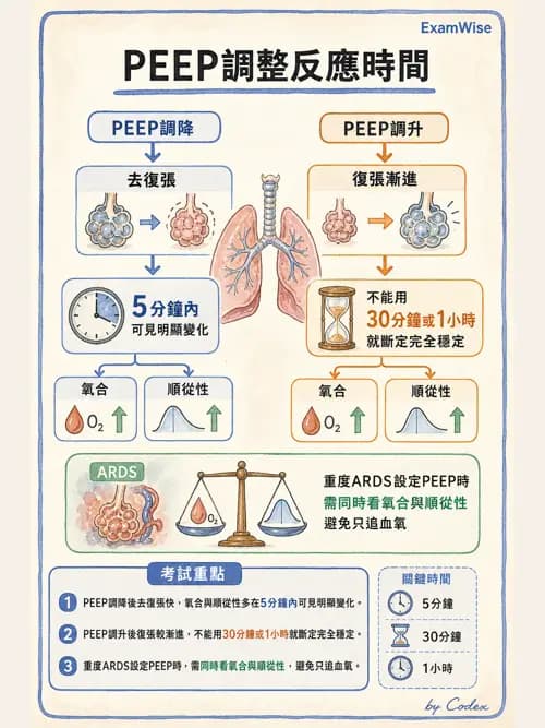 呼吸治療師 - ARDS與呼吸衰竭 - AI 圖文解析預覽