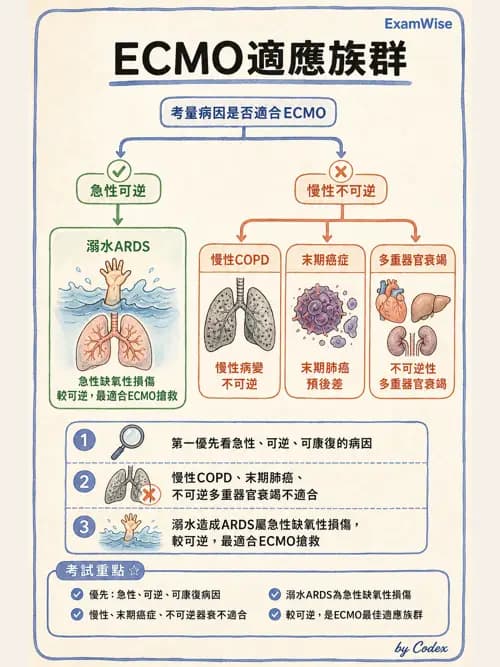 呼吸治療師 - 重症特殊處置 - AI 圖文解析預覽