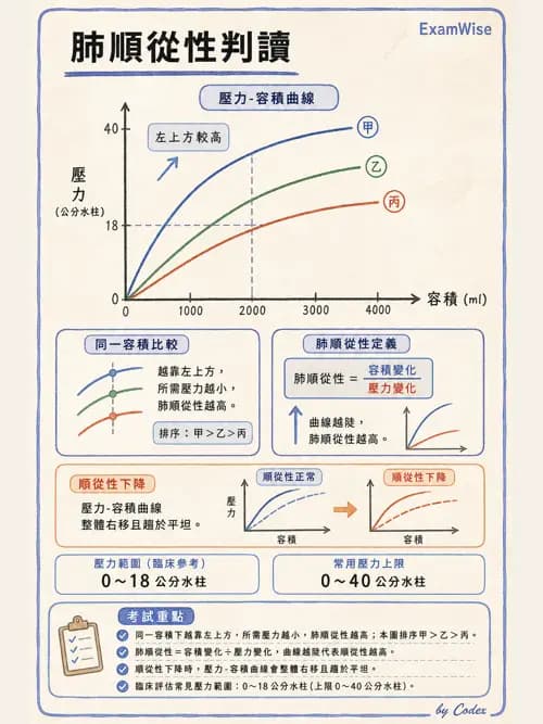 呼吸治療師 - ARDS與呼吸衰竭 - AI 圖文解析預覽