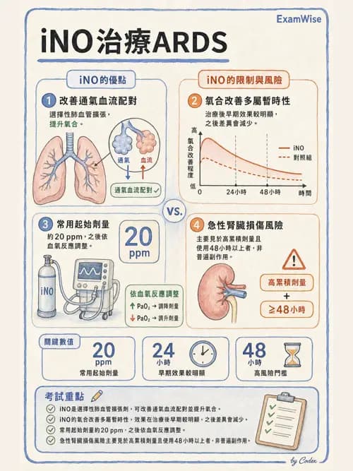呼吸治療師 - 重症特殊處置 - AI 圖文解析預覽