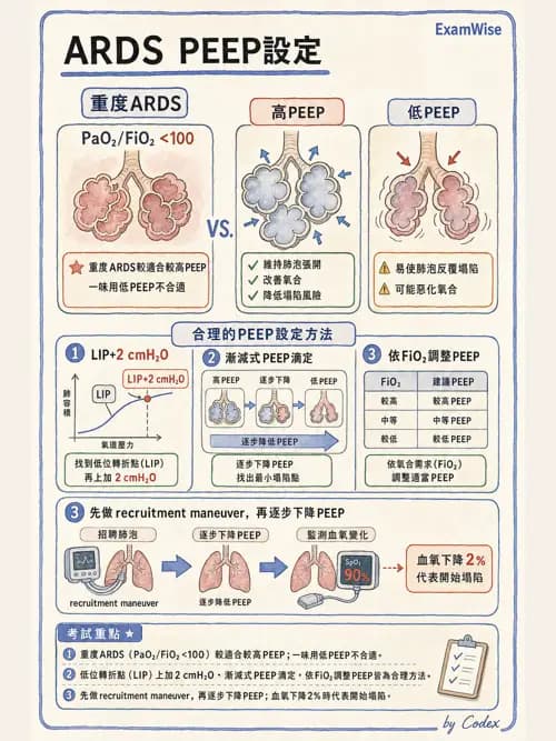 呼吸治療師 - ARDS與呼吸衰竭 - AI 圖文解析預覽