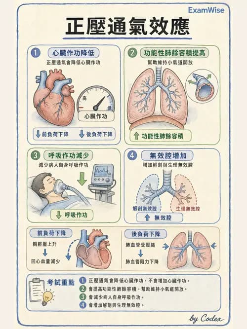 呼吸治療師 - 呼吸器併發症與感染 - AI 圖文解析預覽