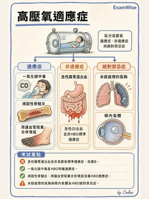 呼吸治療師 - 術後與其他呼吸重症 - AI 圖文解析預覽