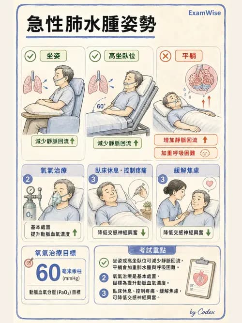 呼吸治療師 - ARDS與呼吸衰竭 - AI 圖文解析預覽