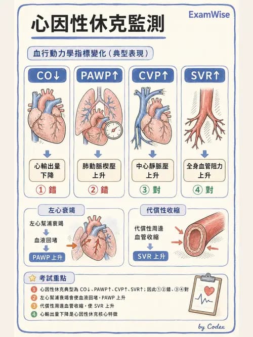 呼吸治療師 - 重症監測與判讀 - AI 圖文解析預覽