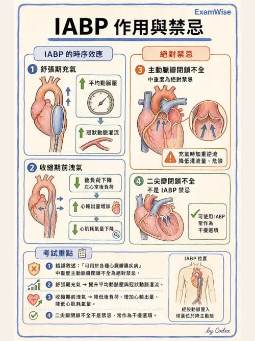 呼吸治療師 - 心臟疾病與COPD重症 - AI 圖文解析預覽