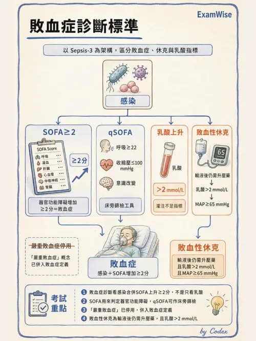 呼吸治療師 - 休克、敗血症與多器官衰竭 - AI 圖文解析預覽