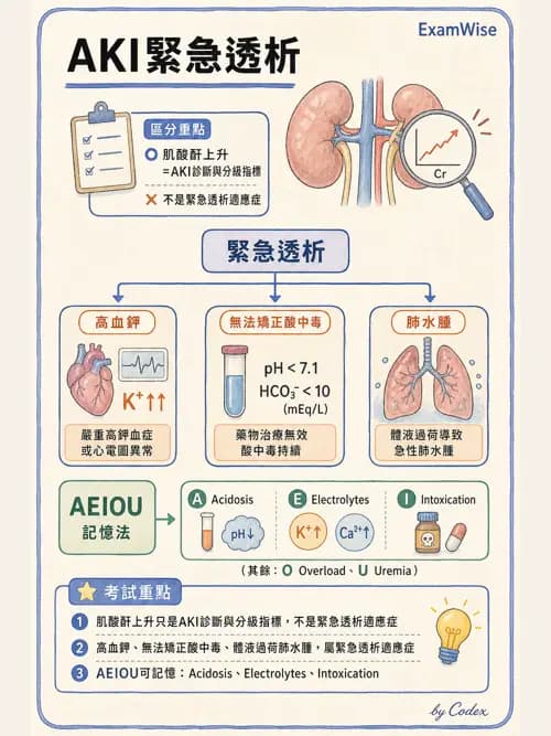 呼吸治療師 - 休克、敗血症與多器官衰竭 - AI 圖文解析預覽