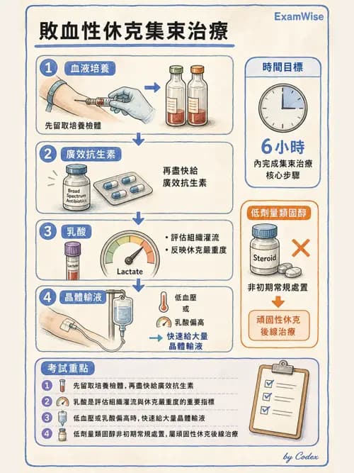 呼吸治療師 - 休克、敗血症與多器官衰竭 - AI 圖文解析預覽