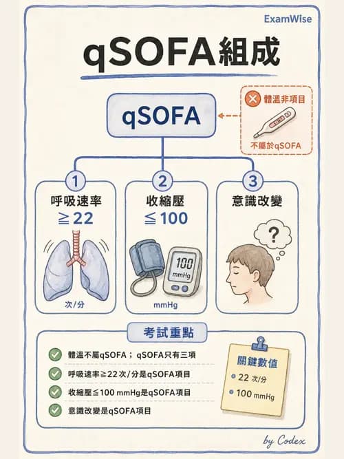 呼吸治療師 - 休克、敗血症與多器官衰竭 - AI 圖文解析預覽