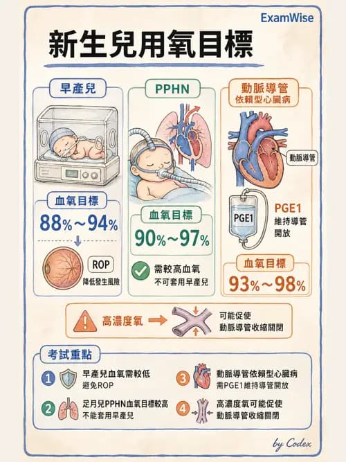 呼吸治療師 - 小兒相關重症 - AI 圖文解析預覽