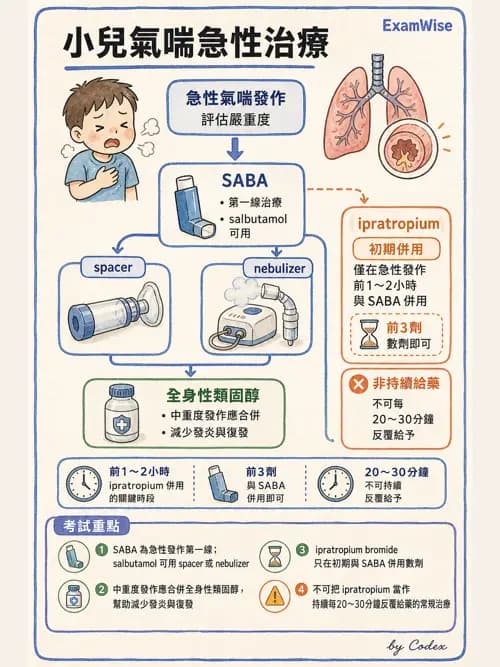 呼吸治療師 - 小兒相關重症 - AI 圖文解析預覽