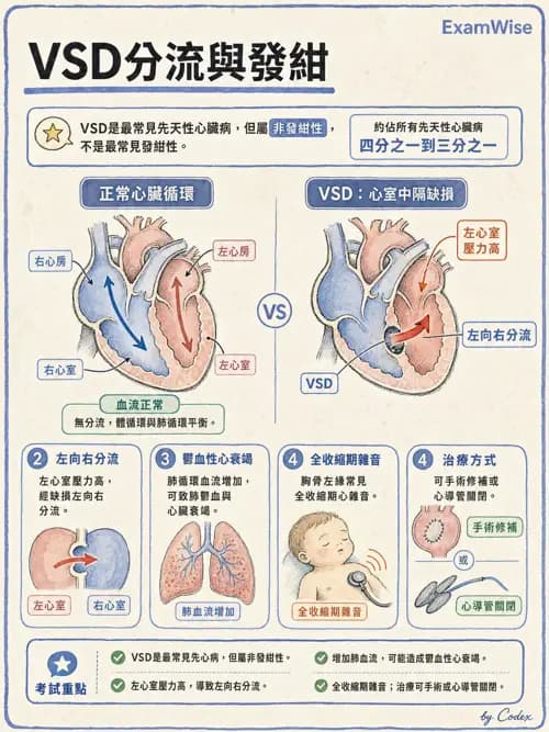 呼吸治療師 - 小兒相關重症 - AI 圖文解析預覽