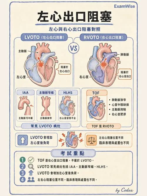 呼吸治療師 - 小兒相關重症 - AI 圖文解析預覽