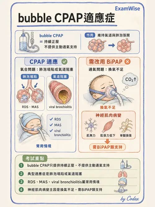 呼吸治療師 - 小兒相關重症 - AI 圖文解析預覽