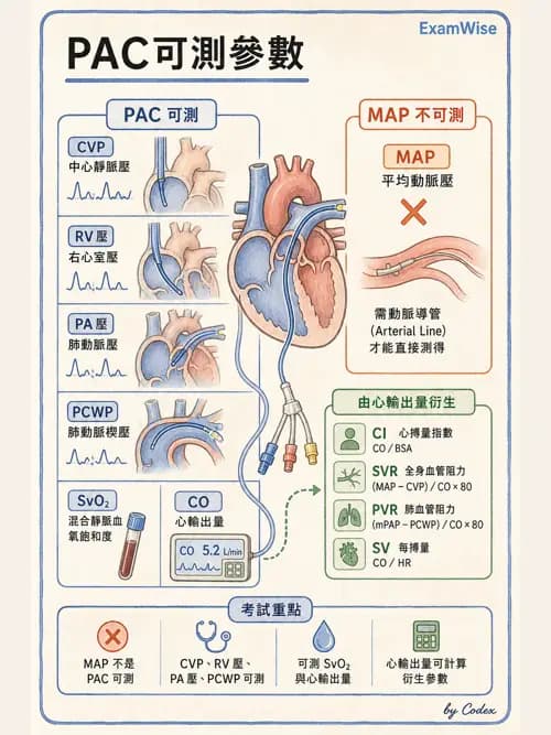 呼吸治療師 - 重症監測與判讀 - AI 圖文解析預覽