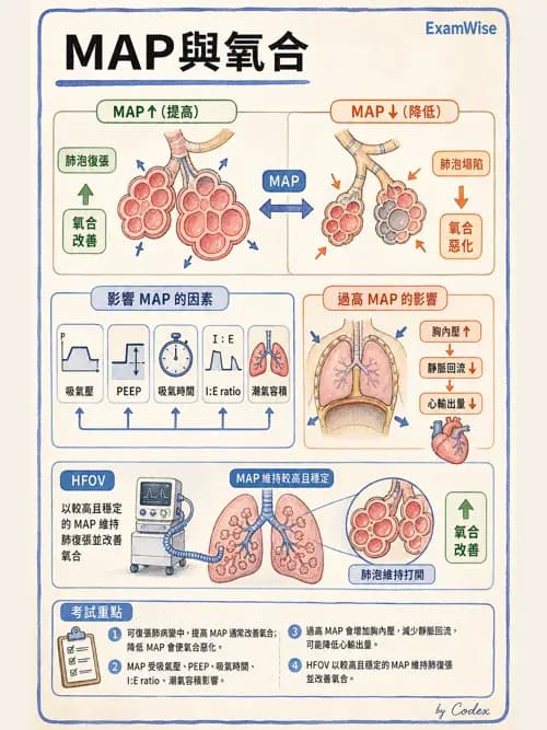 呼吸治療師 - 重症監測與判讀 - AI 圖文解析預覽