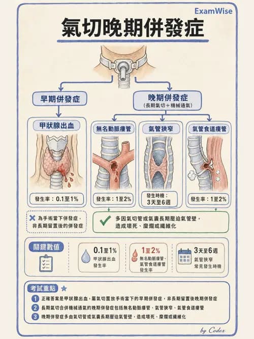 呼吸治療師 - 呼吸器併發症與感染 - AI 圖文解析預覽