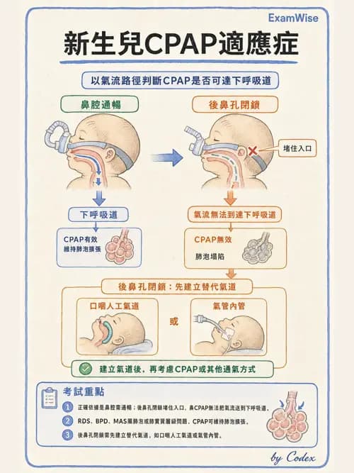 呼吸治療師 - 兒童呼吸系統疾病 - AI 圖文解析預覽