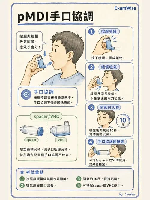 呼吸治療師 - 病人評估與衛教 - AI 圖文解析預覽
