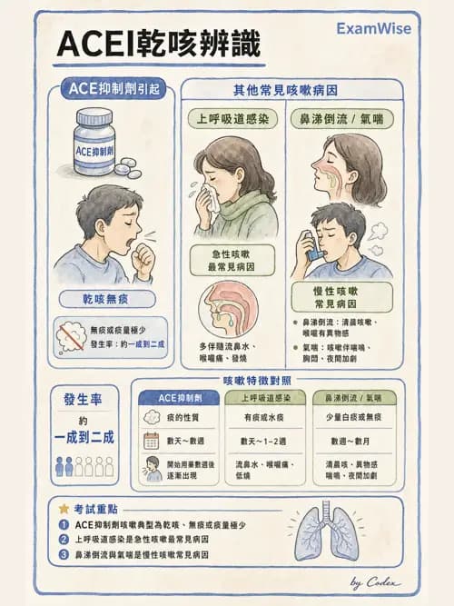 呼吸治療師 - 病人評估與衛教 - AI 圖文解析預覽