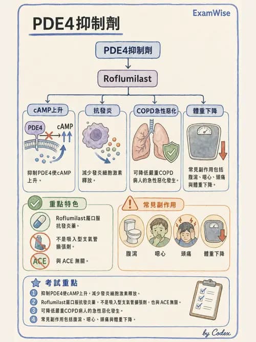 呼吸治療師 - 慢性氣道疾病 - AI 圖文解析預覽