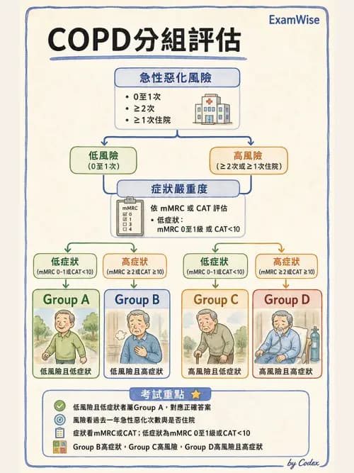 呼吸治療師 - 慢性氣道疾病 - AI 圖文解析預覽