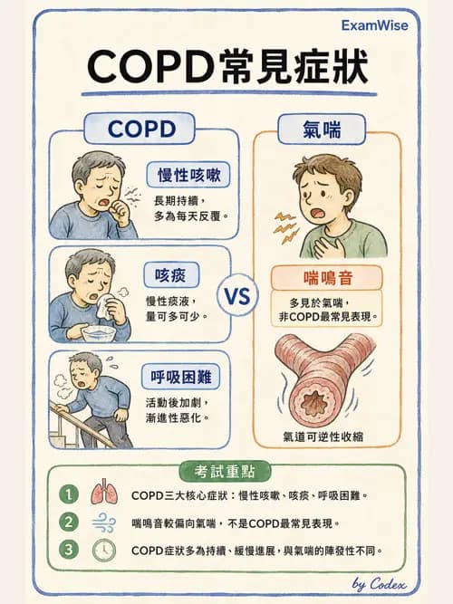 呼吸治療師 - 慢性氣道疾病 - AI 圖文解析預覽