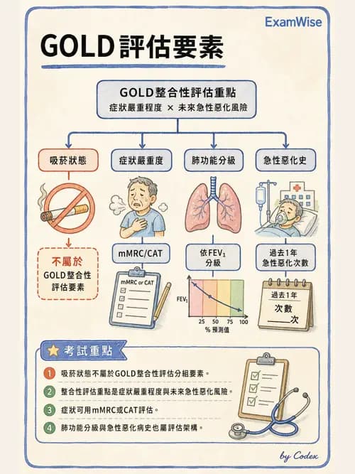 呼吸治療師 - 慢性氣道疾病 - AI 圖文解析預覽