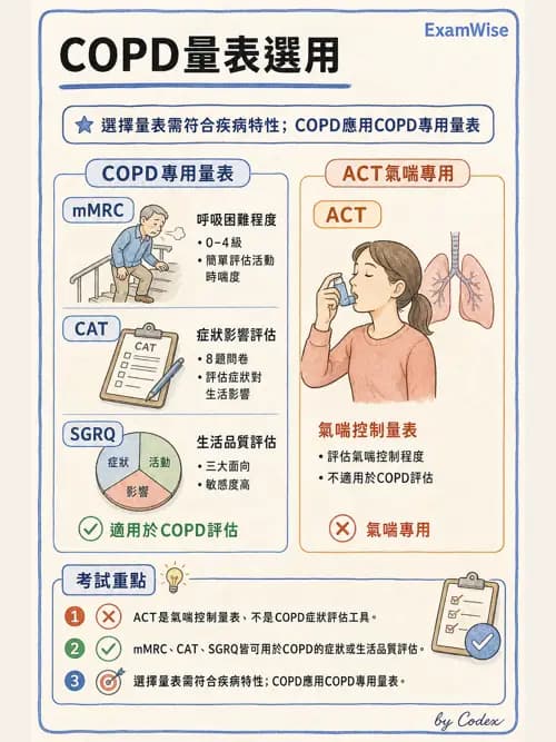 呼吸治療師 - 慢性氣道疾病 - AI 圖文解析預覽
