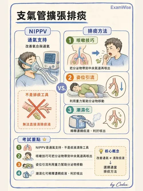 呼吸治療師 - 慢性氣道疾病 - AI 圖文解析預覽