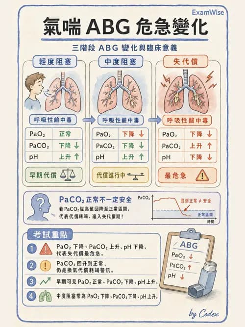 呼吸治療師 - 慢性氣道疾病 - AI 圖文解析預覽