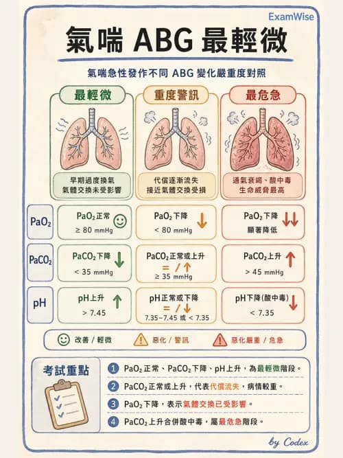 呼吸治療師 - 慢性氣道疾病 - AI 圖文解析預覽