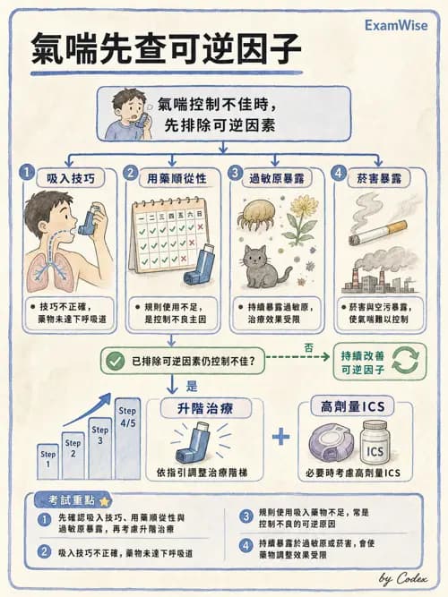 呼吸治療師 - 慢性氣道疾病 - AI 圖文解析預覽