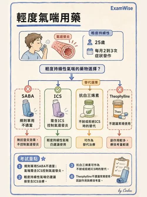 呼吸治療師 - 慢性氣道疾病 - AI 圖文解析預覽