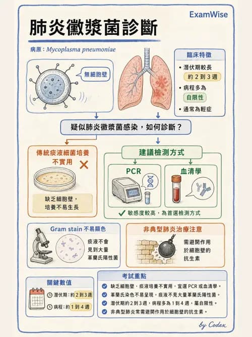 呼吸治療師 - 感染性肺疾 - AI 圖文解析預覽